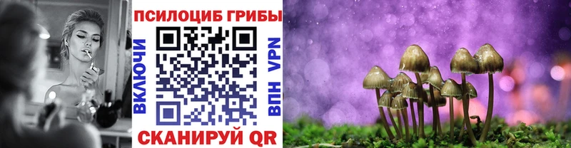 Псилоцибиновые грибы Psilocybe kraken зеркало Нестеровская цена наркотик